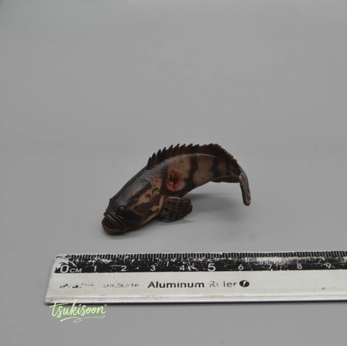 At036 modellino cernia - at036,