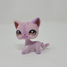 Gatto a pelo corto vintage