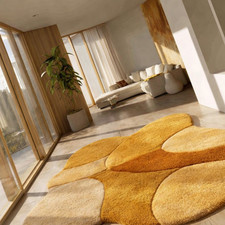 La luce del mattino dipinge i