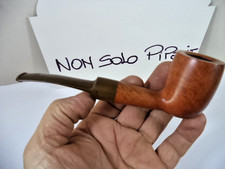 pipa pipe lorenzo nouvelle