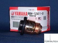 TERMOSTATO - PER MOTORE