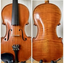 Bellissimo e splendido vecchio