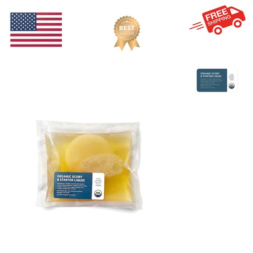 Starter kit scoby kombucha - kit,