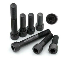 VITI M8 A BRUGOLA TESTA