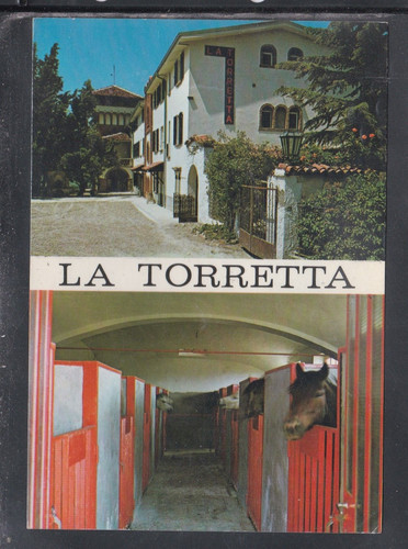 Cartolina staghidione - cartolina,
