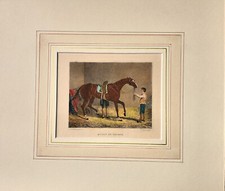 Cavallo da corsa Stampa originale 1850 passepartout cm 30x35