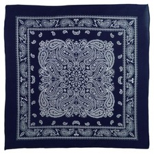 Bandana XL Montana Paisley