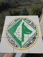 Avellino Calcio Irpinia Lupo