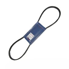 cinghia trasmissione per