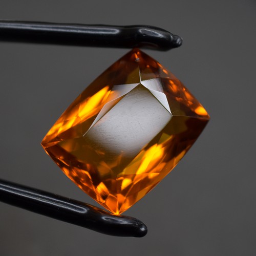 Anello trattato cuscino