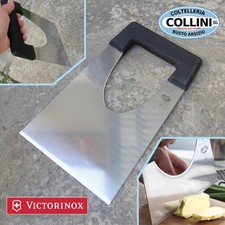 Victorinox - Spatola per formaggio - 22x19cm - 6.1103.22 - articolo cucina