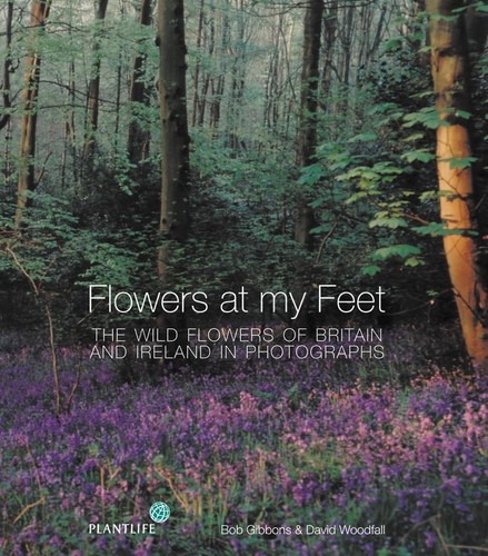 Flowers feet the - my, wild