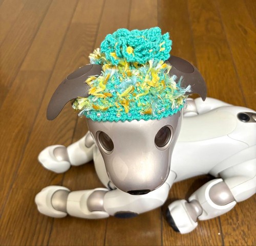 Sony aibo robot cane - robot, cappello