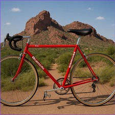 1987 bianchi premio - bianchi, road