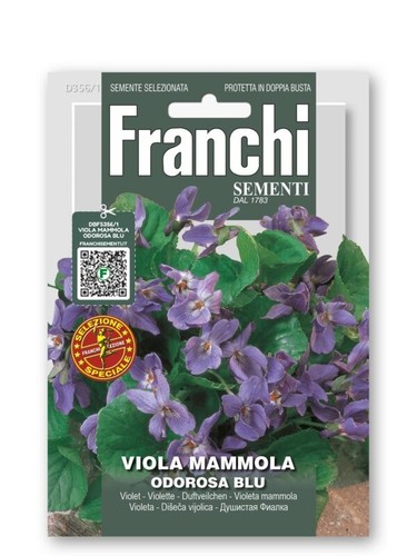 Semi viola mammola odorosa - semi,