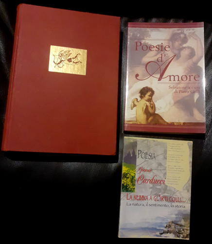 Libri nebbia a gl - 3, la
