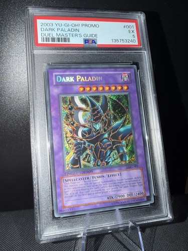 Dark paladin duel - paladin, master's
