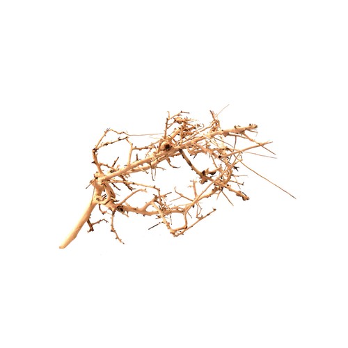 Aqpet zen wood tiny - aqpet,