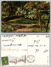 Cartolina Wheeler Park Albero