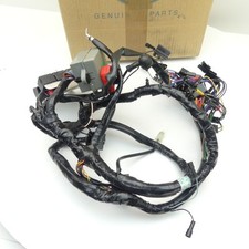 Cablaggio principale Triumph