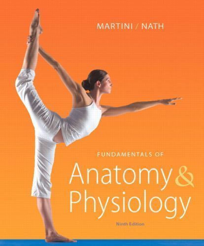 Fundamentals anatomy - anatomy, &