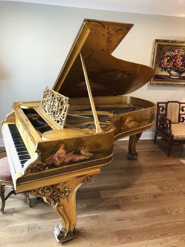 Steinway 1892 custodia