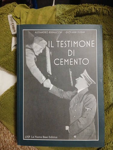 Testimone cemento - di,