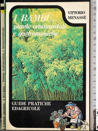 Bambu piante ornamentali - i,