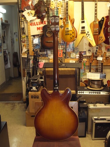 Basso elettrico gibson - elettrico,
