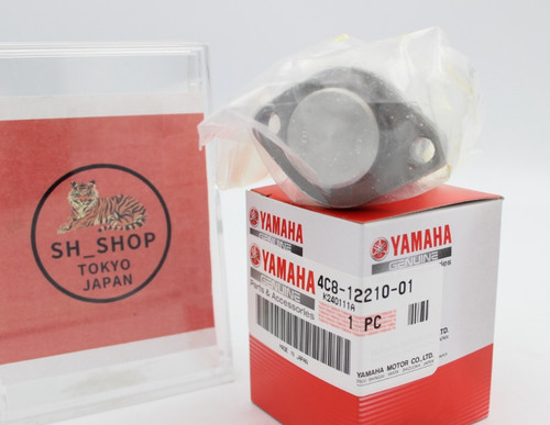 Tensionacatena cam yamaha - cam,