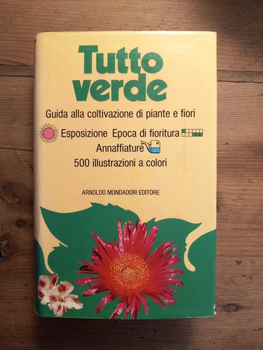 Tutto verde guida alla - tutto,