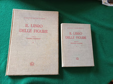 Giocchino da Fiore, libro
