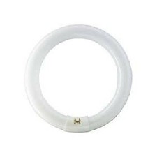 PHILIPS CIRCOLINA TL-E 40W