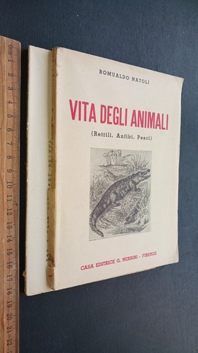 Romualdo natoli vita degli - romualdo,