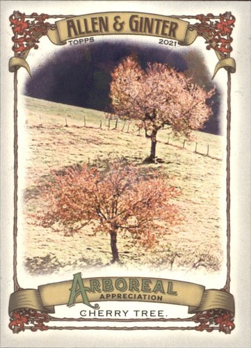 2021 topps allen ginter - topps,