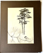 Non firmato di Graziani matita