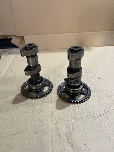 Hot cam camshaft polaris - cam,