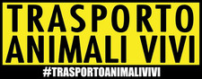 Adesivo Trasporto Animali Vivi