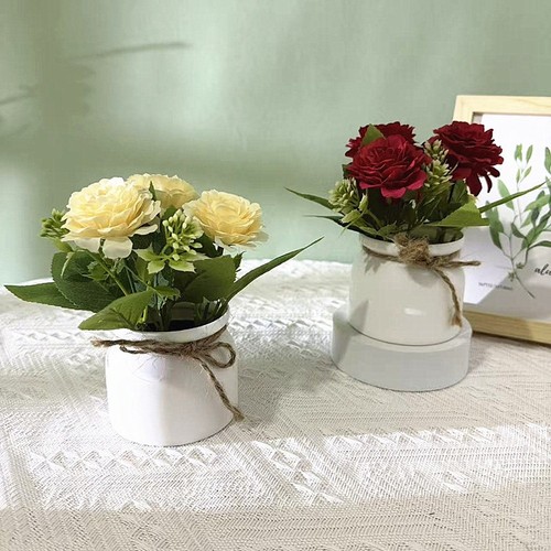 Pianta vaso crisantemo - in,