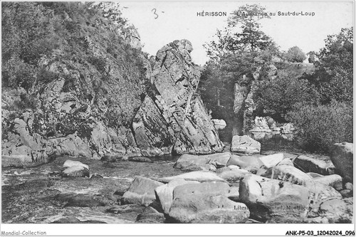 Ankp5 0391 istrice - -,