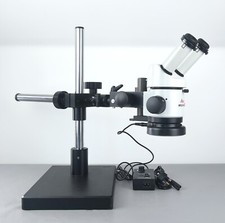 Leica Wild M3B Microscopio