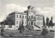 Rovigo - Contarina - Il