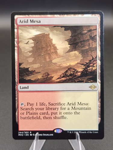 Magic the gathering - magic, mesa