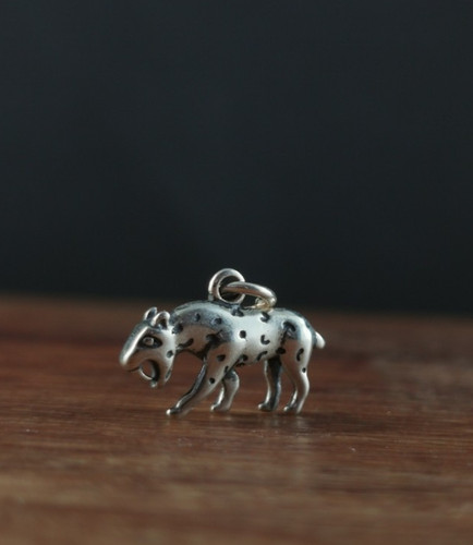 Charms ciondolo argento 925
