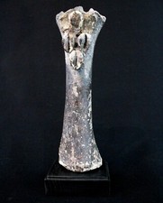 Arte Africano Moneta Di Divinazione Magia Fon OS Mucca Ciprea Su Base - 20 CMS