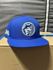 Cappello aderente Minnesota