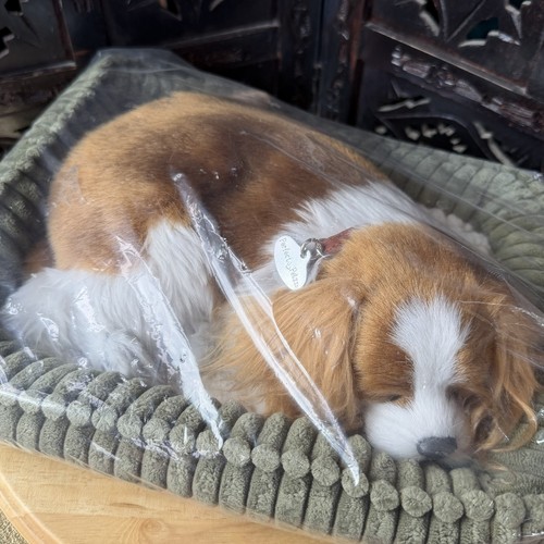 Perfetto petzzz cavalier king - perfetto,