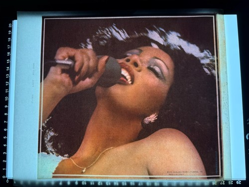 Ferro stiro donna summer - ferro,