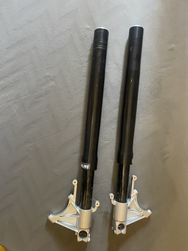 Forcelle ohlins ducati 999 - 999, s