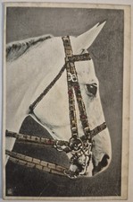 Cartolina d'epoca ritratto di